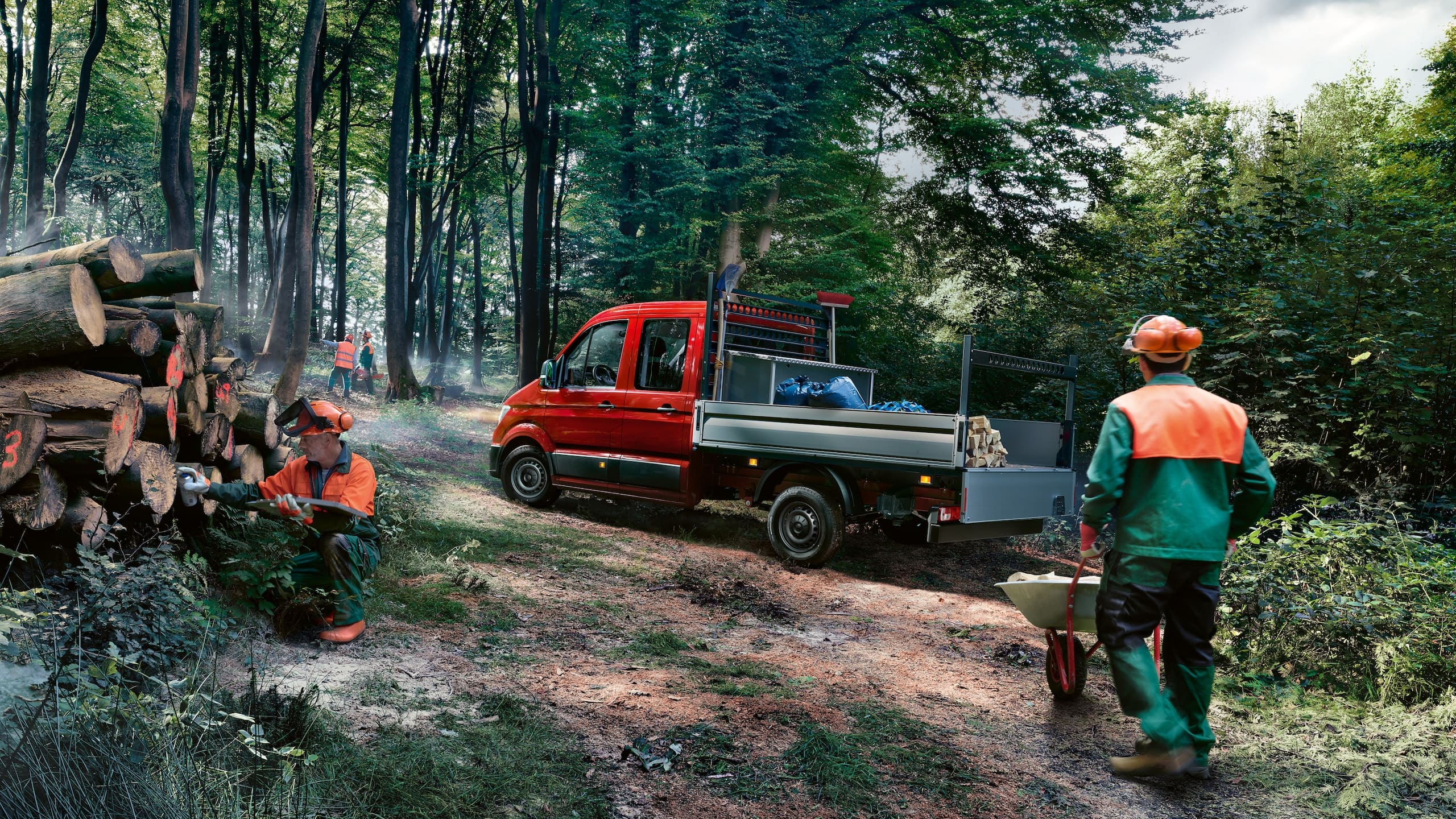 Drwale pracują przy wycince na tle Volkswagena Craftera Skrzyniowego.